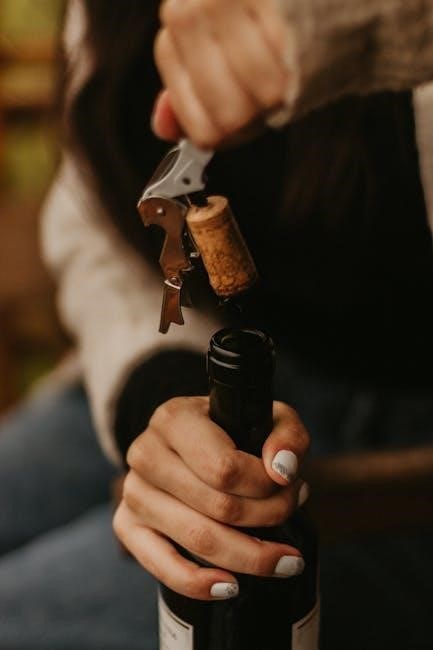 kiinde kozii bottle warmer manual