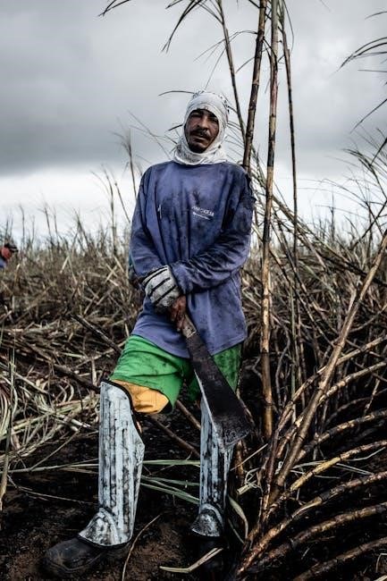 xsonic airstep spk manual